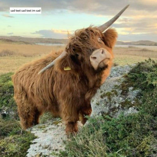 Master Presets – akiraproductions